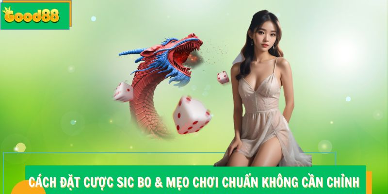 Cách đặt cược Sic Bo